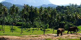 Sri Lanka