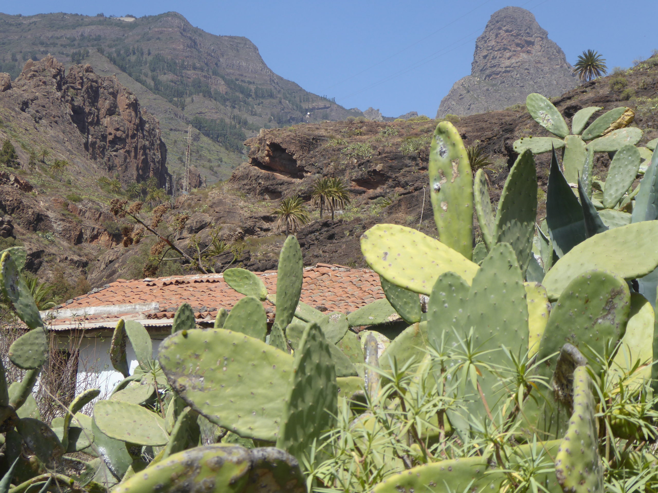 Mists of Time, La Gomera