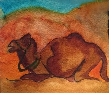Sketch: Cathys-camel