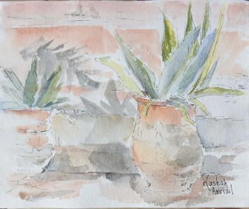 Sketch: Plants at Skoura