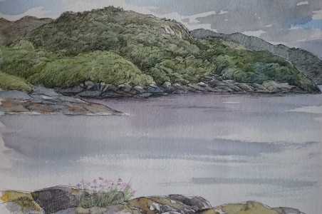 Sketch: My rock, midsummer