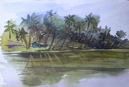 Sketch: Kosgoda river reflections