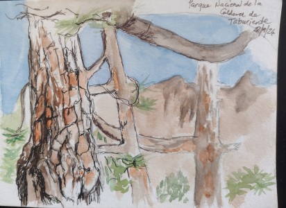 Sketch: Caldera de Taburiente (Bernadette)