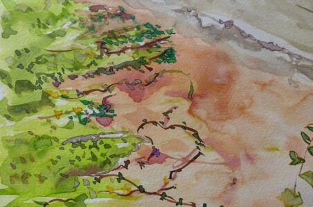 Sketch: Creeping beach plants, Lesley
