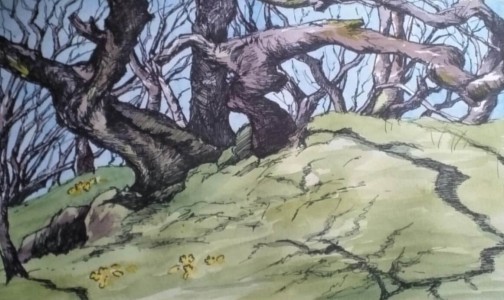 Sketch: Spring birches