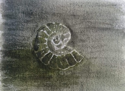 Sketch: Eva's fossil