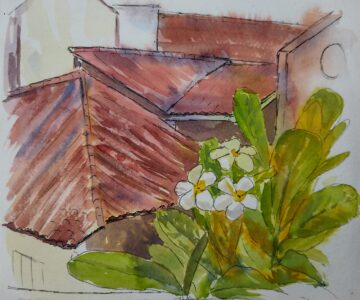 Sketch: Frangipani and pantiles, Galle Fort