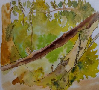 Sketch: In the forest, Jose