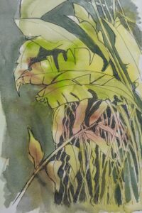 Sketch: Leaf tangle, negative drawing, Caroline