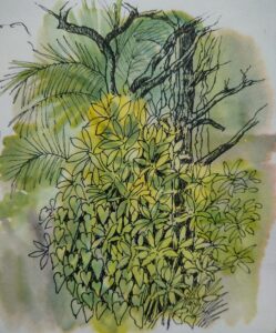 Sketch: Rainforest tangle