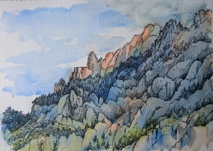 Sketch: Rugged Canaries