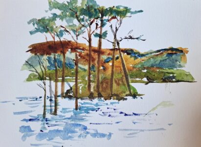 Sketch: Scots pines, Barbara