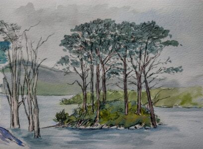 Sketch: Scots pines