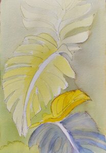 Sketch: Tropical leaf study, Isabella