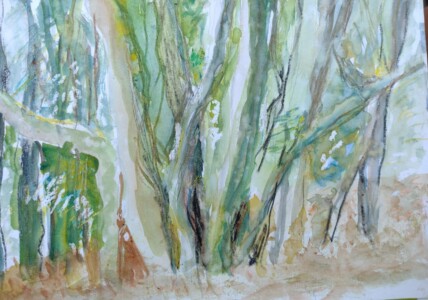 Sketch: Forest textures